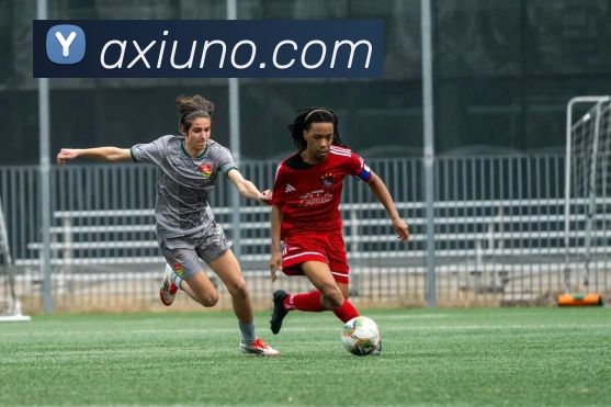 九游体育手机官网发展历程